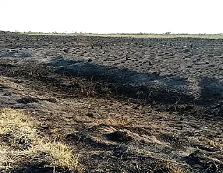 Incêndio no parque do Ivinhema já destruiu mais de 18 mil hectares de área