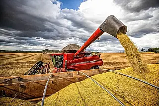 Produtores de MS com perdas na safra podem renegociar dívidas