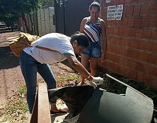Em tempos de epidemias, mutirão reforça o combate ao Aedes aegypti em Dourados