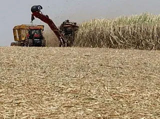 Com safra de quase 18 mil toneladas, MS se firma como grande produtor de grãos
