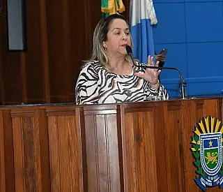 Lia pede ao TCE esclarecimentos sobre instituição