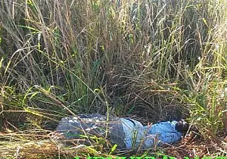 Mais um brasileiro é executado na disputa pelo comando do tráfico na fronteira