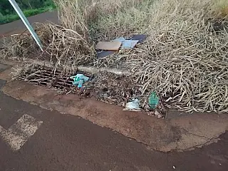 Liandra solicita serviço de limpeza no Jardim Flor de Liz