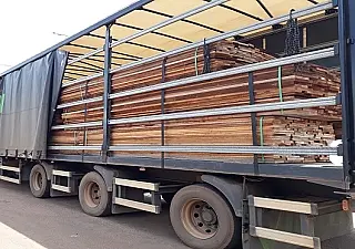 Carga ilegal de madeira é punida com multa de R$ 12,3 mil em MS