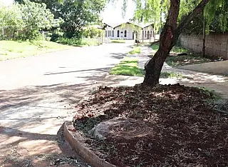 MS Ambiental é multada por poluir Mosteiro