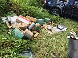 DOF e Denar do Paraná apreendem mais de uma tonelada de maconha na região