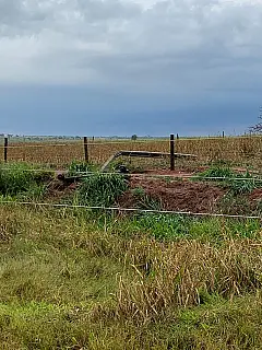 Angélica fica no escuro após queda de postes de energia
