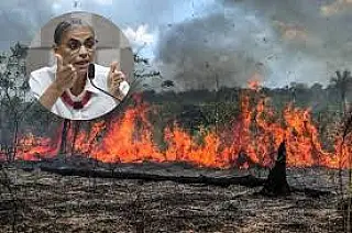 Força-tarefa extingue 30 pontos de queimadas no Pantanal