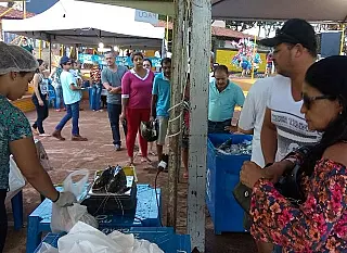 No primeiro dia, Festa do Peixe comercializou mais de 12 toneladas do pescado