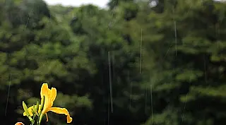 Em Dourados temperatura pode chegar na máxima de 29º