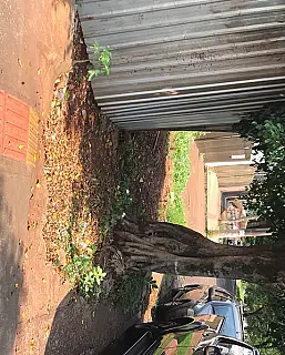 Um trecho intransitável