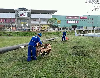 Parque Arnulpho Fioravante é preparado para o Acampa Dourados