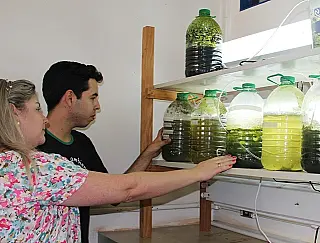 Aluno da UEMS pesquisa uso de microalgas na produção de biodiesel
