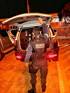 Guarda Municipal prende cinco foragidos da justiça em rondas pela cidade