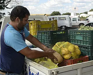 Ceasas do país tiveram redução nos preço de frutas e hortaliças em agosto