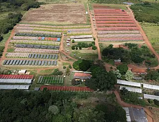 Agricultura familiar representa 77% do setor rural do Brasil