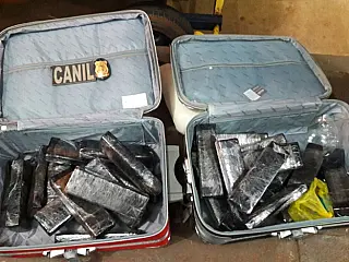 Cães farejadores encontram droga em bagagem de passageiro