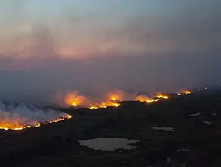 Fogo já consome área superior a 130 mil ha do Pantanal sul-mato-grossense