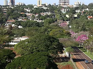 Município é certificado um dos mais arborizados do Brasil