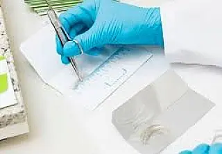 Motoristas já são multados por não fazer toxicológico