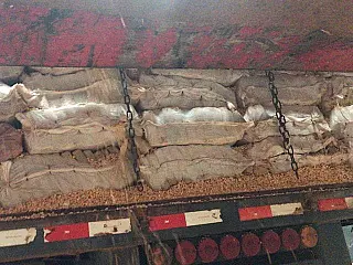 PRF de Dourados apreende 8 toneladas de maconha no Capey
