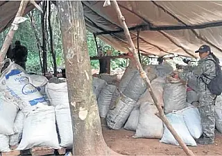 País vizinho já destruiu 548 toneladas de maconha em menos de cinco meses