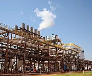 MS projeta safra recorde de etanol
