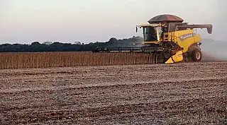 Com boa produtividade Mato Grosso do Sul já colheu 75% da área cultivada de soja