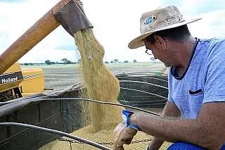 Melhor saldo de empregos no Estado no acumulado de dez meses de 2017 é na agropecuária