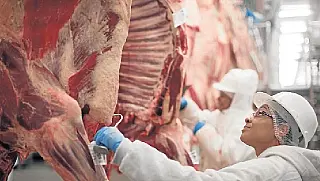 Mercado da carne reage e abates aumentam 13,2% este ano em Mato Grosso do Sul