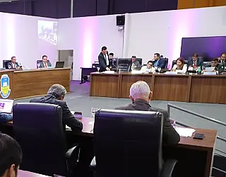Câmara reconhece trabalho de protetores de animais