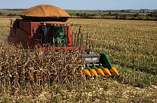 Com forte reação do agro, MS gerou 3 mil empregos em junho e tem estoque de trabalho recorde