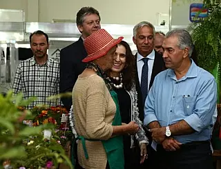 Empreendedorismo com sustentabilidade é defendido pela Aced