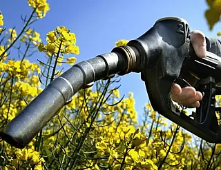 Governo anuncia aumento de biodiesel no diesel