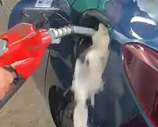 Sem função social, Petrobras perde o controle de preços