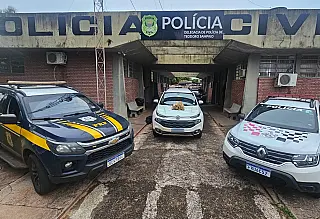PRF apreende mais de 4,6 toneladas de maconha e fuzil
