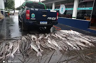 PMA prende 8 por crimes ambientais, apreende 360 kg de pescado e duas aves em extinção