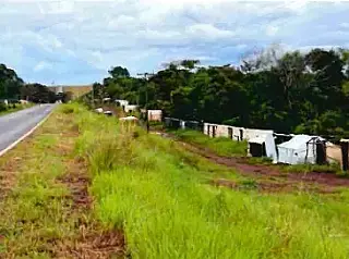 Juíza manda acampados desocuparem margem de rodovia
