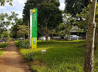 Dourados já disputa com Guia Lopes em número de casos do coronavírus