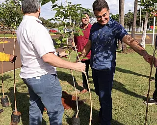 Marçal planta mudas de ipê e pede cuidado com Meio Ambiente