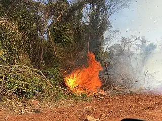 Fazendeiro é multado em R$ 90 mil após incendiar reserva ambiental