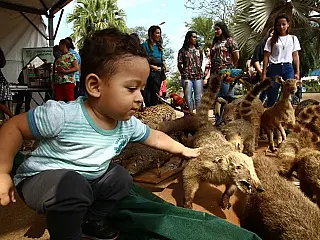 Atividades do Imam na praça marcam dia do Meio Ambiente