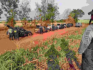 Oito carros apreendidos com R$ 1,2 milhão de contrabando