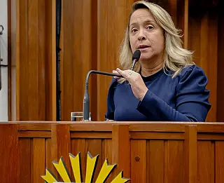 Lia pede mais efetivo policial para o centro de Dourados