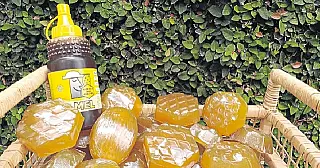 Com produção de 50 kg por colmeia Mato Grosso do Sul é o 11º produtor nacional de mel
