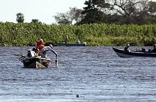 A partir desta quinta, modalidade está liberada nos rios Paraguai e Paraná
