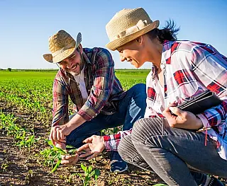 Agricultura familiar tem novo cadastro no País