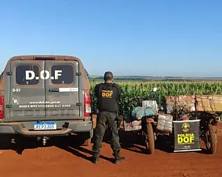 Motos são abandonadas com 360kg de maconha