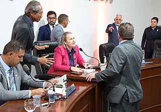 Câmara cria Comissão de Proteção dos Animais