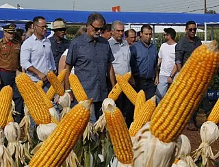 Showtec contribui para o crescimento da agricultura sustentável em MS
